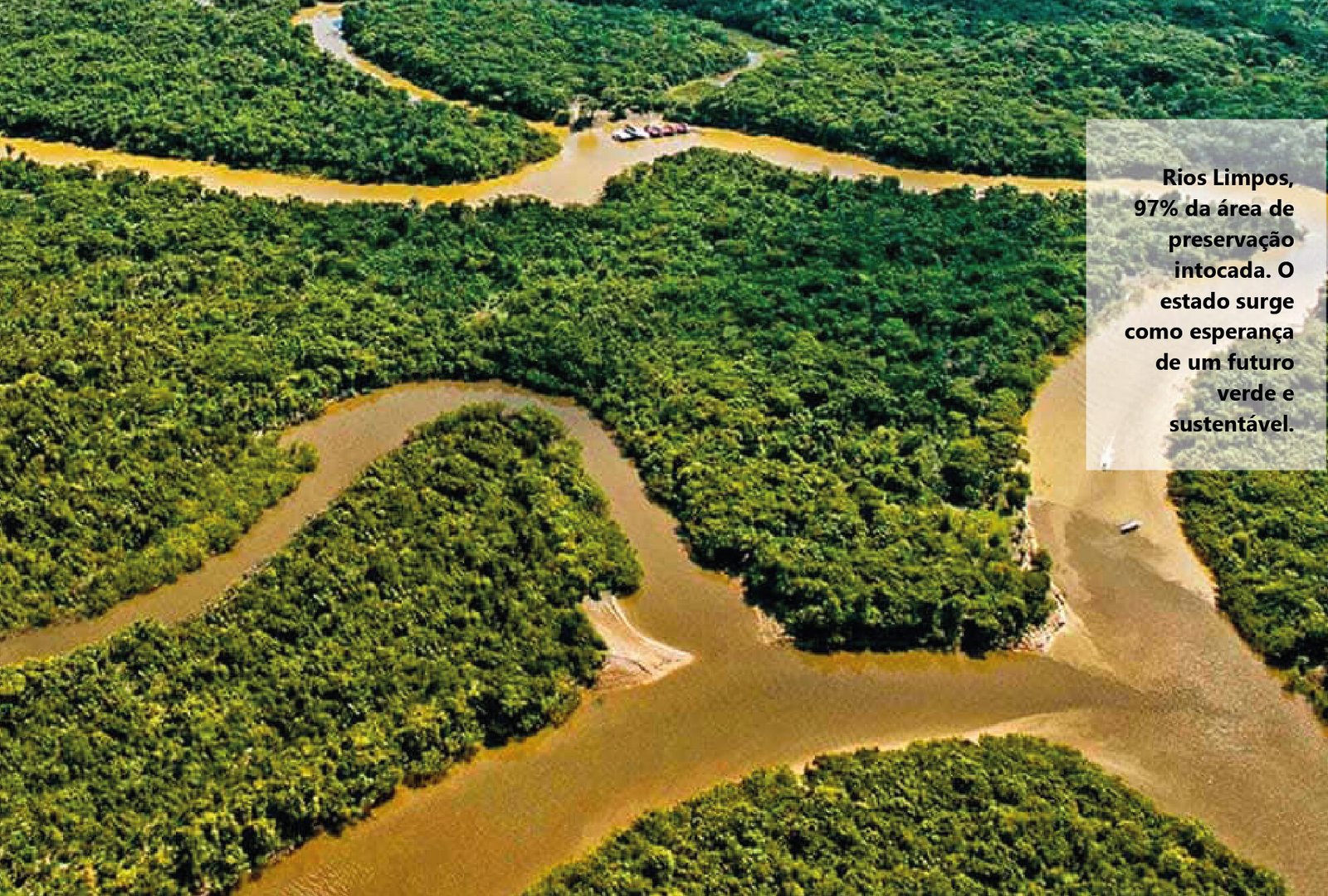 Amapá: A “Dubai verde” DE FLORESTA Amazônica intocada.
