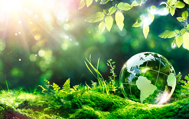 Artigo: Amapá: Guardião verde do Brasil e Vitrine para o Futuro