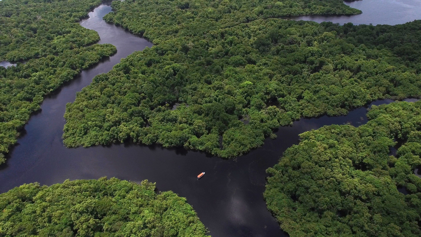 Elo Social Brasil prepara homenagem a personalidades amapaenses e anuncia expansão de projetos na Amazônia